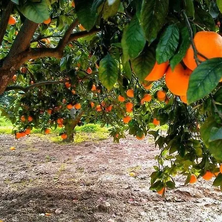 Kır Evi Terra Di Mare